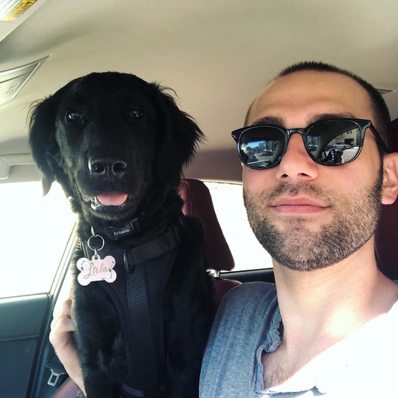 Meet your Posher, Seamus - Picture 1 of 1